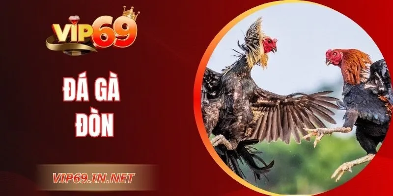 Đá Gà Đòn - Kỹ Thuật Thi Đấu Đỉnh Cao Tại Cổng Game VIP69