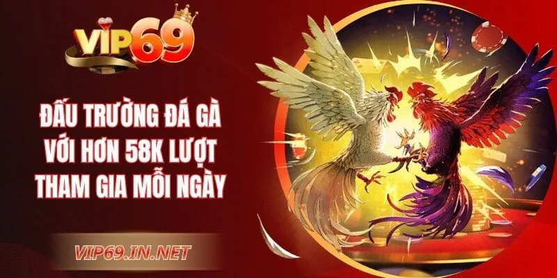 VIP69 - Link Vào Trang Chủ VIP69 Chính Thức | Đăng Ký +69K Đấu trường đá gà với hơn 58K lượt tham gia mỗi ngày