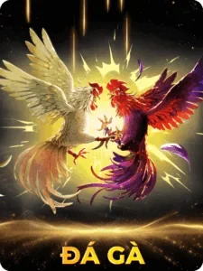 VIP69 - Link Vào Trang Chủ VIP69 Chính Thức | Đăng Ký +69K Sảnh Đá Gà VIP69