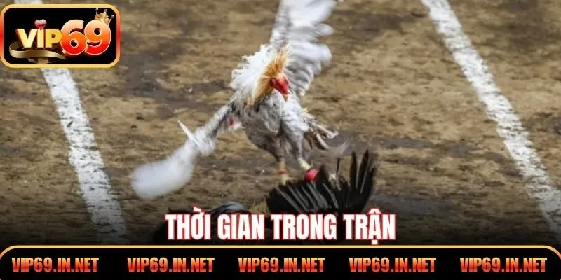 Thời gian trong trận